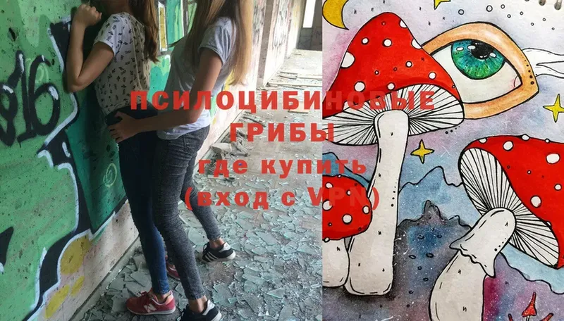 Галлюциногенные грибы Magic Shrooms  Десногорск 